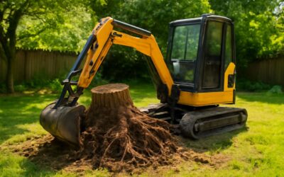 Stump Removal Essentials: what size excavator for stump removal is best for your yard project.